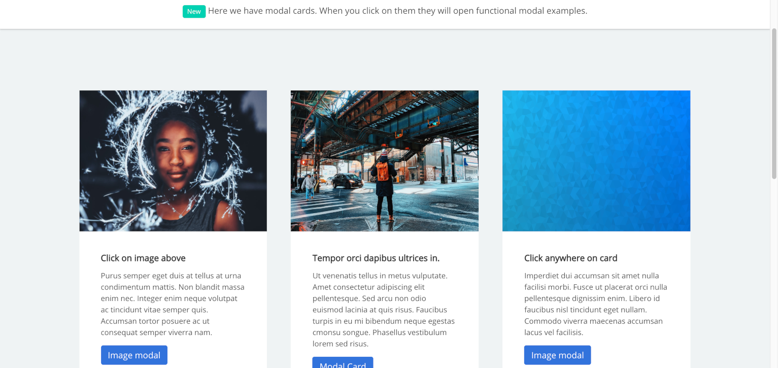 modal-cards template screenshot